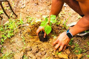 Environment & Sustainability