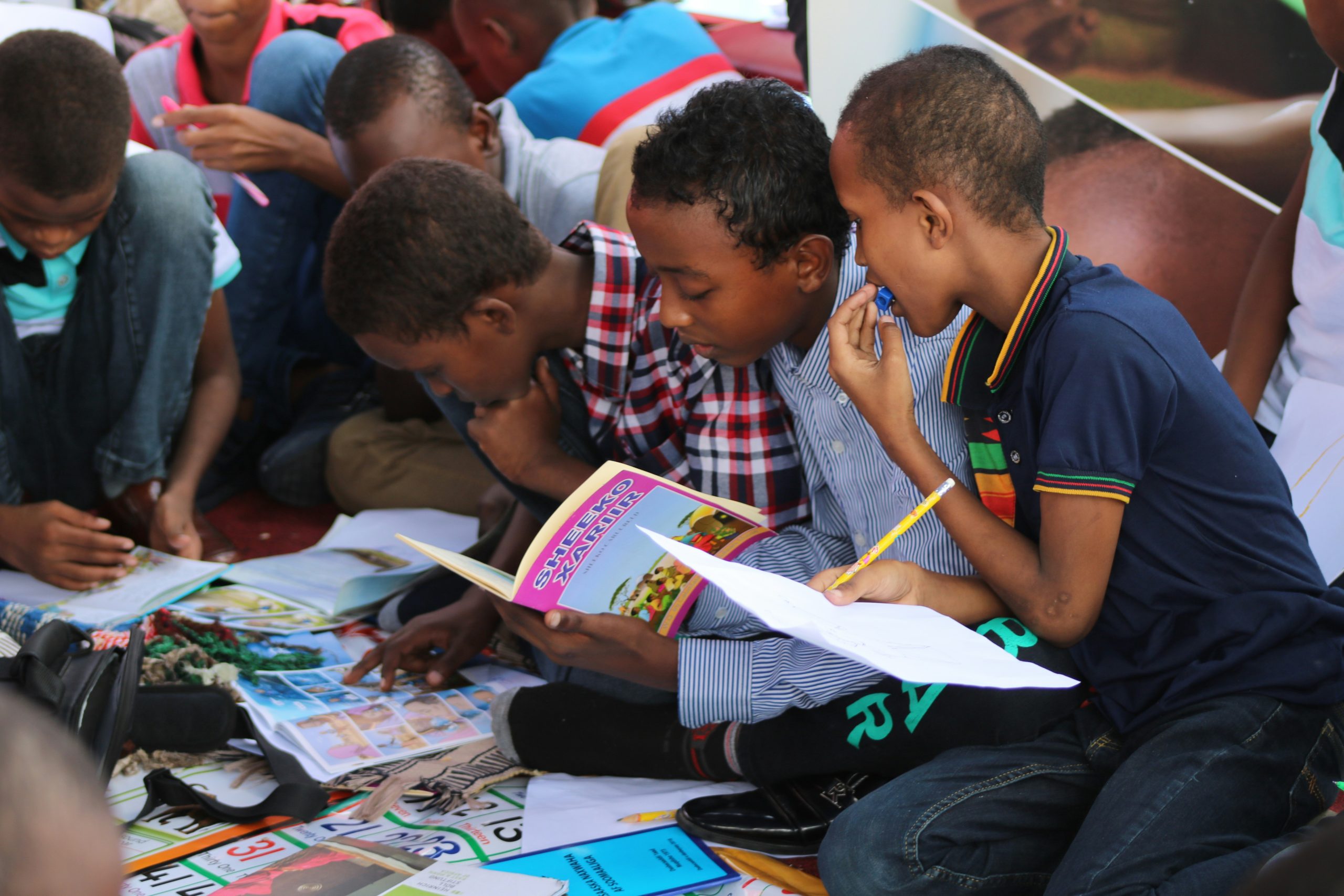 Education & Literacy