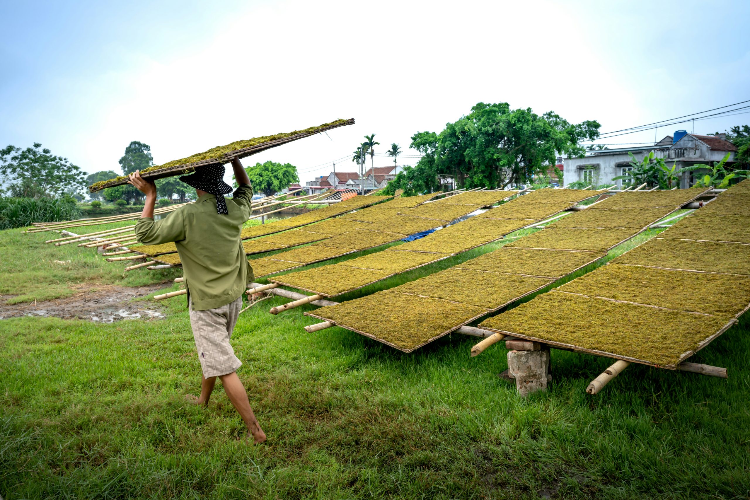 Environment & Sustainability